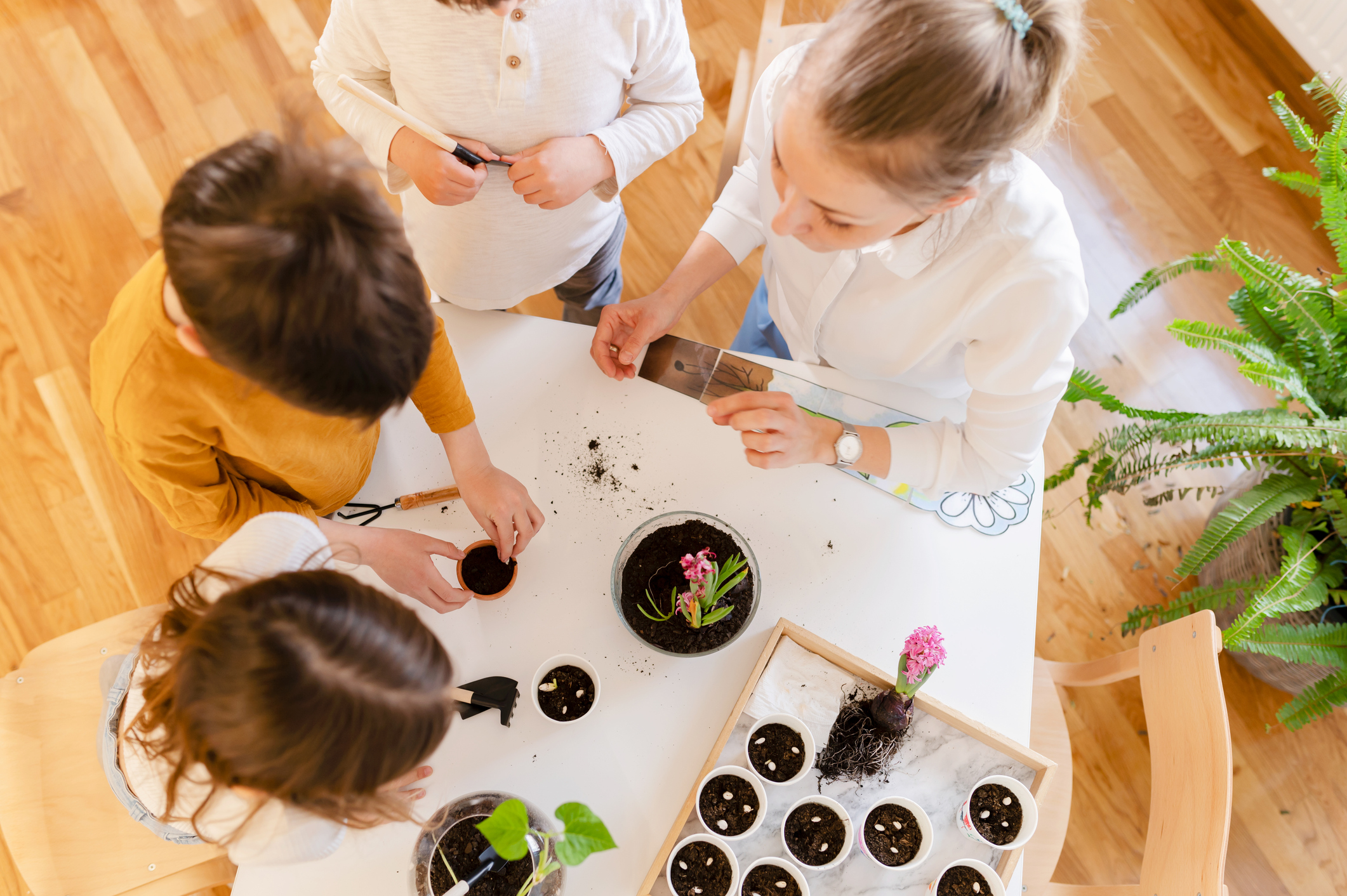 Children planting seedlings and potting plants